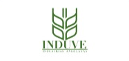 Induve logo